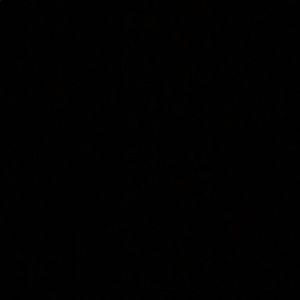 Meet your Posher, Sofia